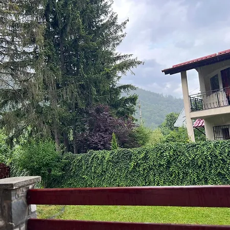 Red House Sinaia-3