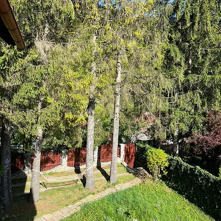 Red House Sinaia-2
